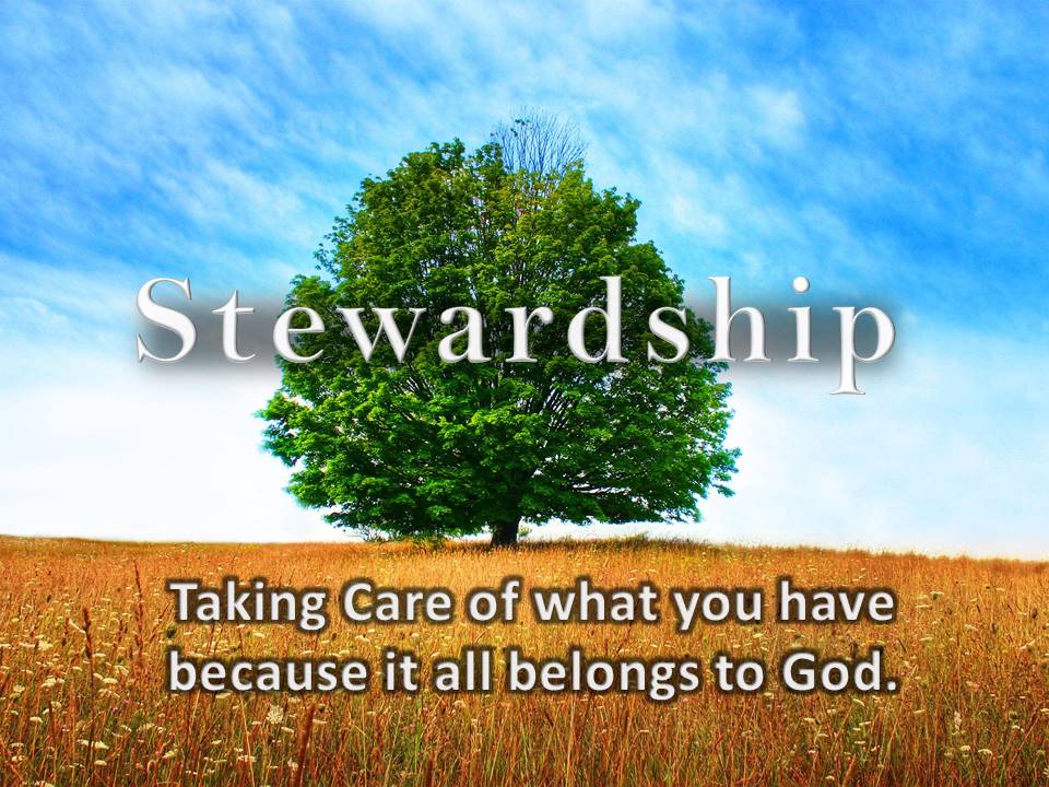 Stewardship What Really Matters Faith Assembly Grand Detour